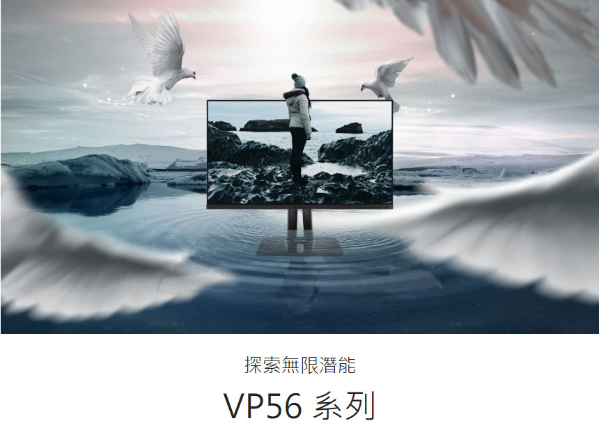 ViewSonic VP2456 24